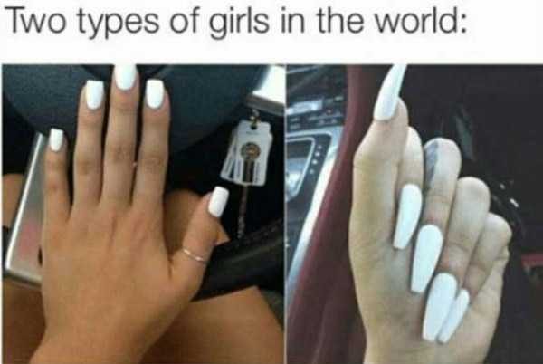 There Are Only Two Types... (40 photos)