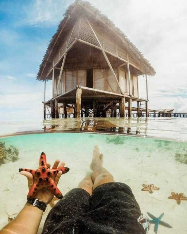 awesome pictures 12 600x750 55 Nothing But Awesome Pics (55 photos)