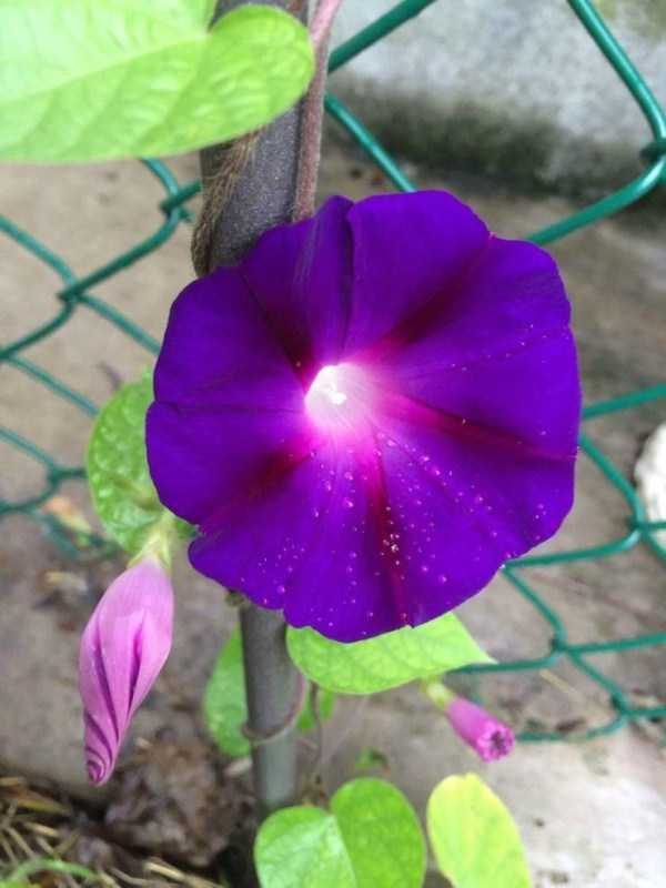 awesome pictures 15 600x800 55 Nothing But Awesome Pics (55 photos)