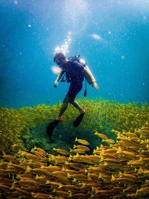 awesome pictures 19 600x800 55 Nothing But Awesome Pics (55 photos)