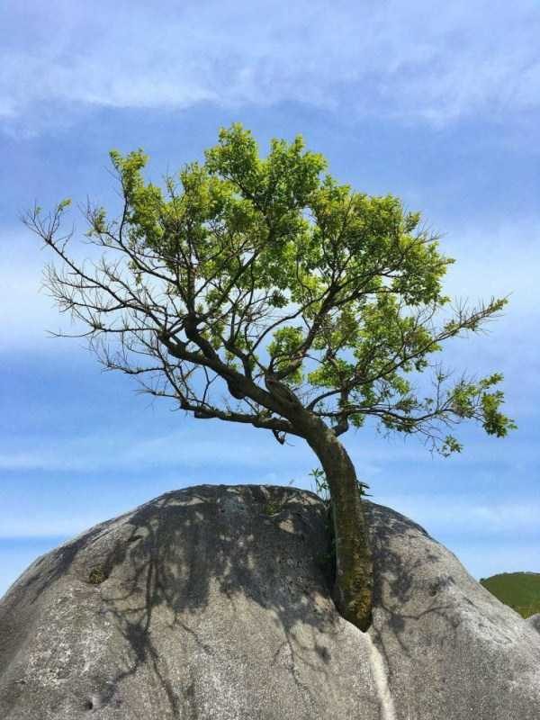 awesome pictures 32 600x800 55 Nothing But Awesome Pics (55 photos)