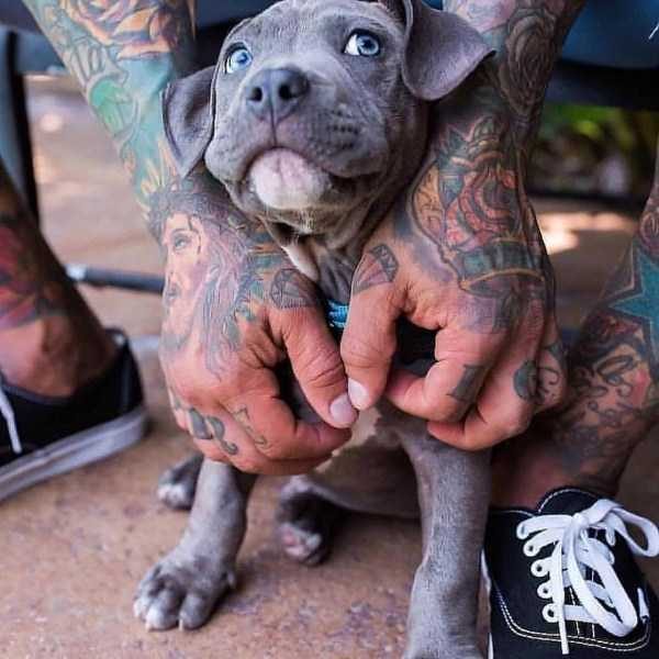 awesome pictures 52 600x600 55 Nothing But Awesome Pics (55 photos)