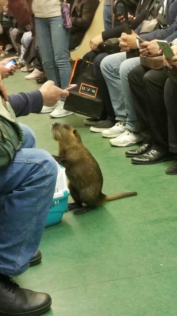 klyker funny picdump 109 3 600x1067 Klyker Picdump (111 photos)