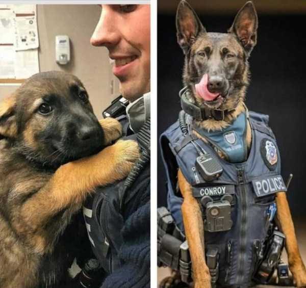 klyker funny picdump 12 6 600x565 Klyker Picdump (111 photos)