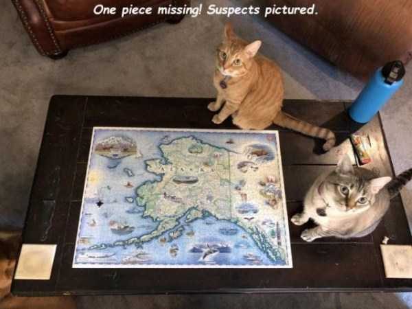 klyker funny picdump 21 20 600x450 Klyker Picdump (99 photos)