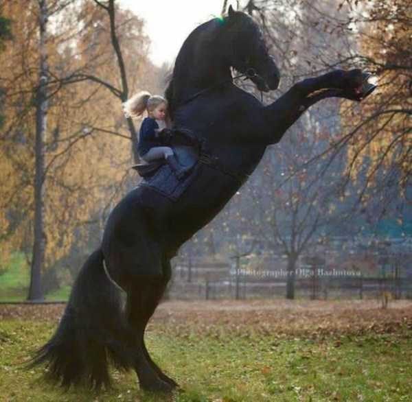 klyker funny picdump 21 6 600x586 Klyker Picdump (111 photos)