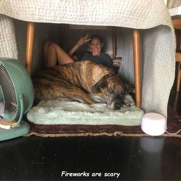 klyker funny picdump 34 6 600x600 Klyker Picdump (111 photos)