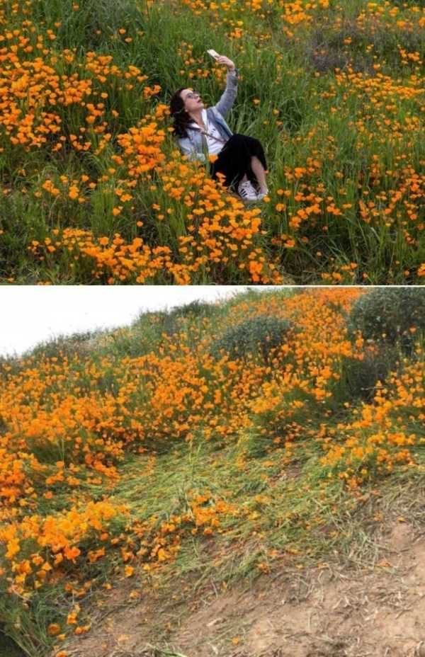 klyker funny picdump 51 6 600x928 Klyker Picdump (111 photos)