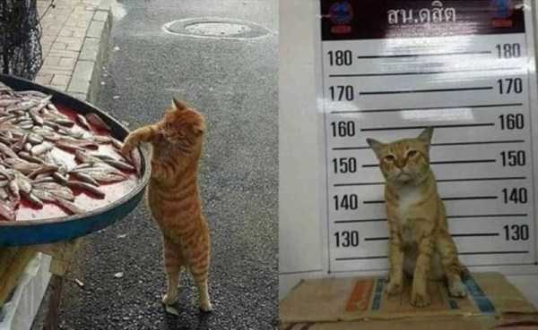 klyker funny picdump 7 6 600x369 Klyker Picdump (111 photos)