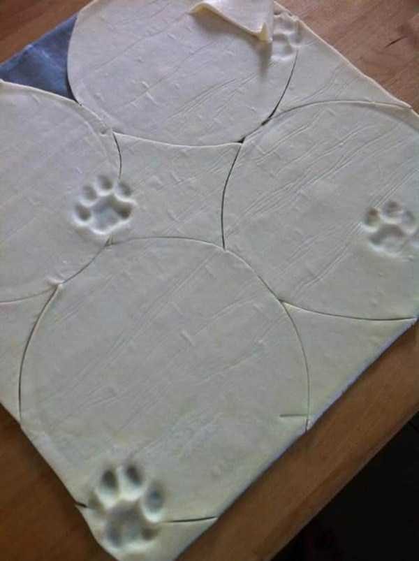 klyker funny picdump 79 6 600x803 Klyker Picdump (111 photos)