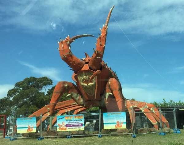 klyker funny picdump 81 6 600x472 Klyker Picdump (111 photos)