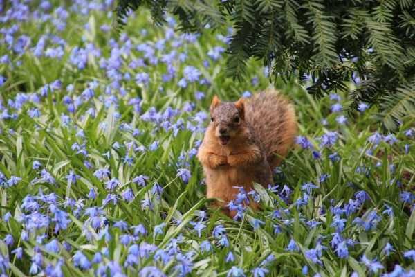 klyker funny picdump 95 6 600x400 Klyker Picdump (111 photos)