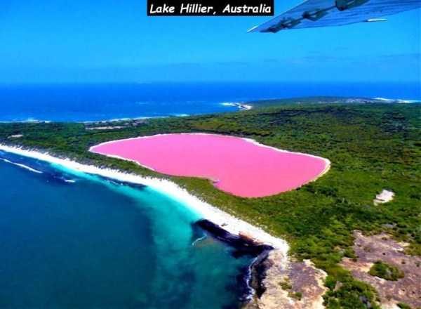 48 Random Pictures With Captions (48 photos)