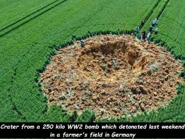 48 Random Pictures With Captions (48 photos)