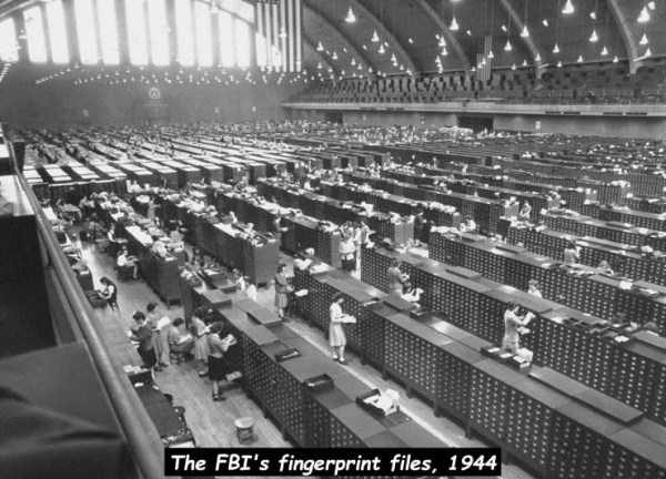 48 Random Pictures With Captions (48 photos)