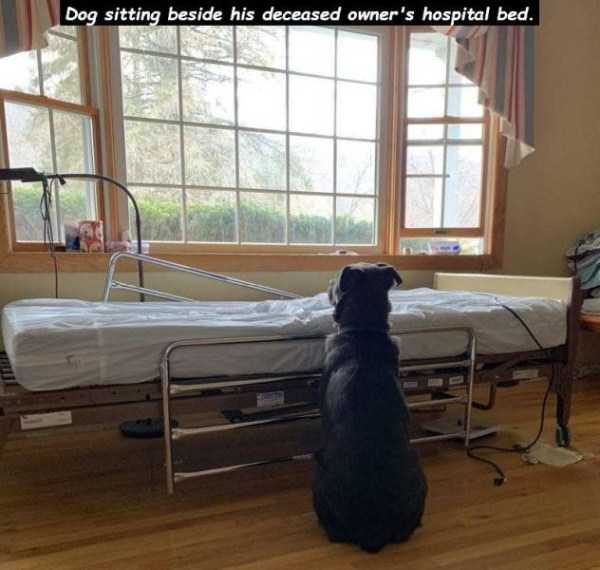 48 Random Pictures With Captions (48 photos)