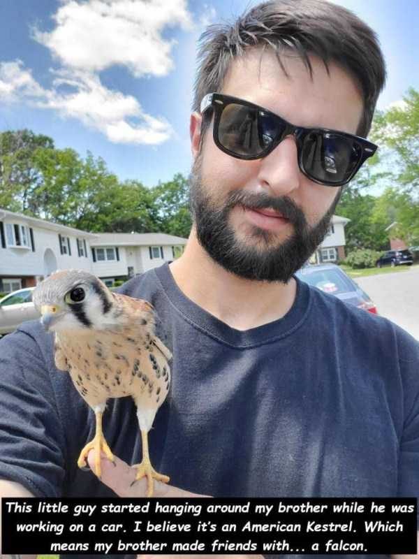 48 Random Pictures With Captions (48 photos)