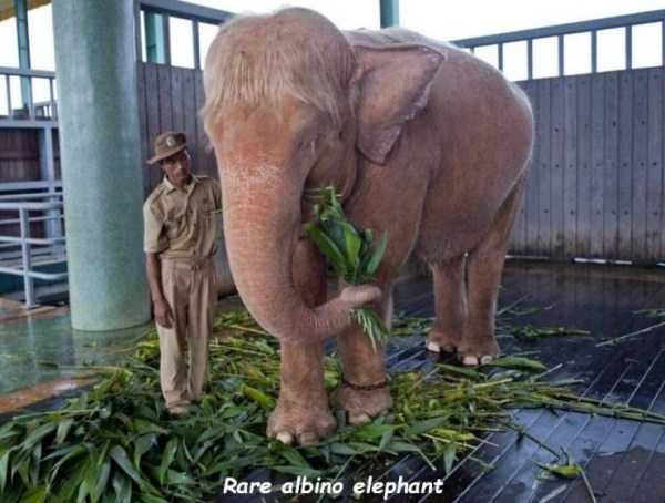 48 Random Pictures With Captions (48 photos)