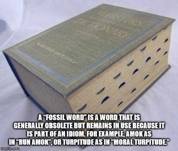 150 COOL FACTS visual data 4