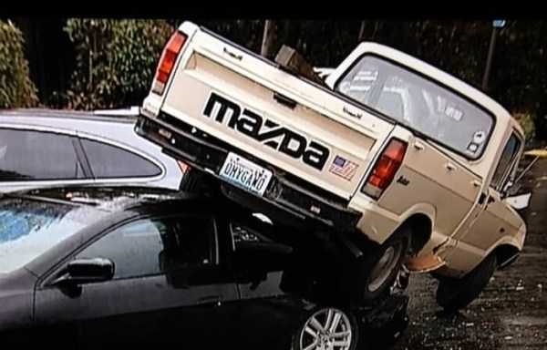 48 Hilariously Creative License Plates (48 photos)