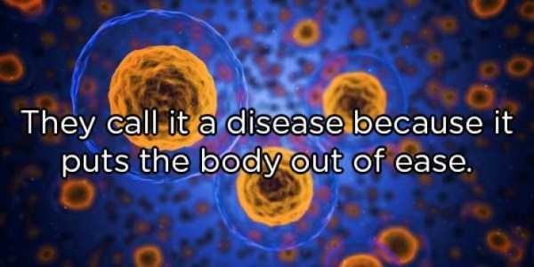 fun facts 33 600x300 It’s Time For Some Cool And Interesting Facts – Part 116 (53 photos)