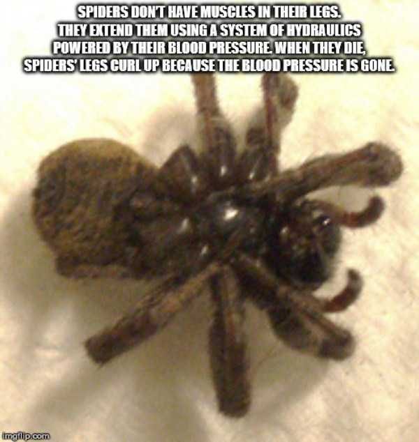 It’s Time For Some Cool And Interesting Facts – Part 120 (52 photos)