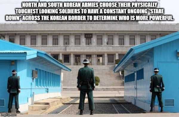 It’s Time For Some Cool And Interesting Facts – Part 117 (57 photos)