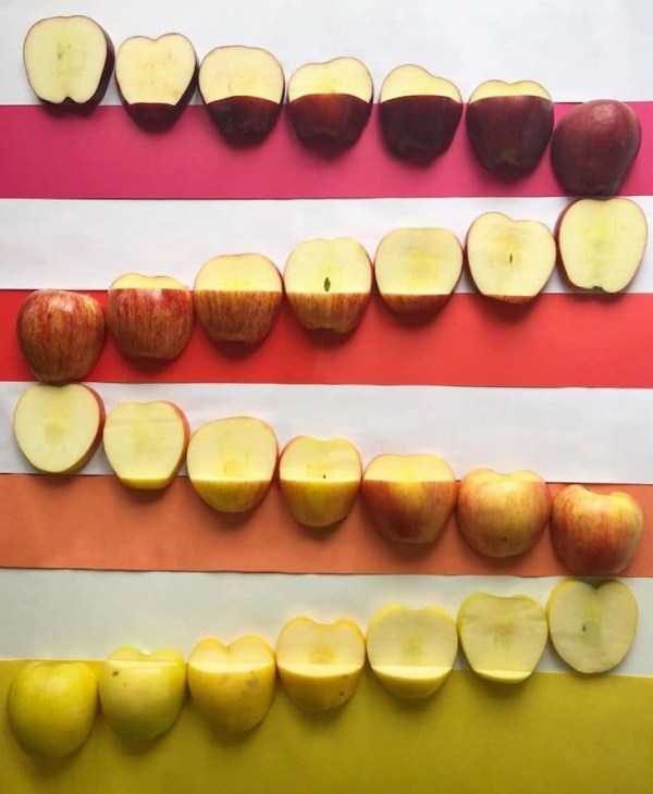 satisfying food art 20 600x730 Food Art Can Be Satisfying (30 photos)