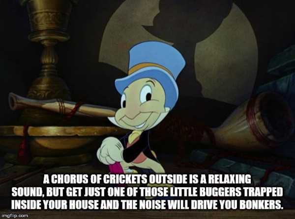 45 More Deep Shower Thoughts (45 photos)