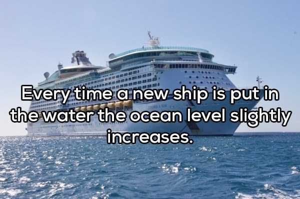 46 More Deep Shower Thoughts (46 photos)