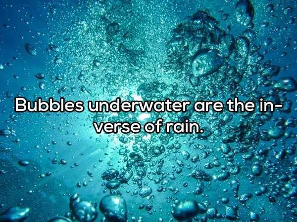 45 More Deep Shower Thoughts (45 photos)