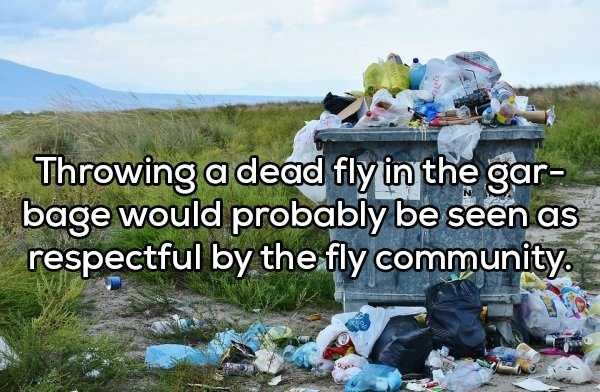 45 More Deep Shower Thoughts (45 photos)