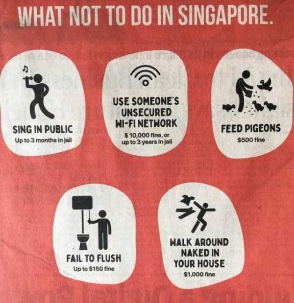 singapore funny pics 1 600x619