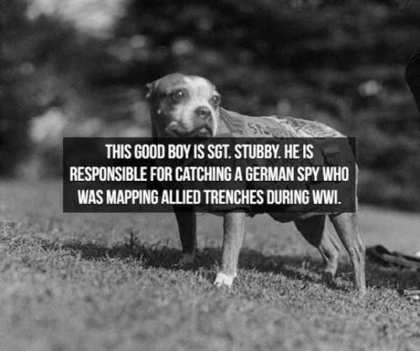 spy facts 13 600x501 15 Interesting Facts About Spies (15 photos)