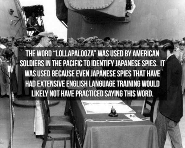 spy facts 14 600x480 15 Interesting Facts About Spies (15 photos)