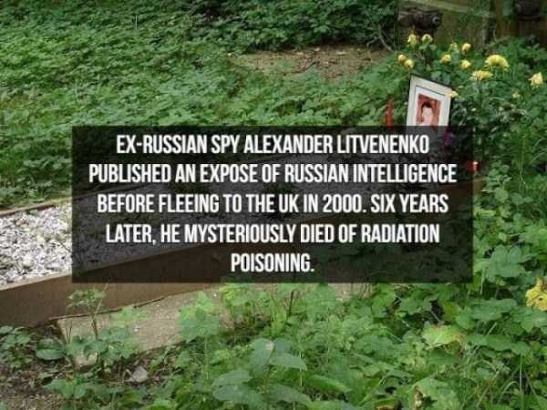 spy facts 2 600x450 15 Interesting Facts About Spies (15 photos)