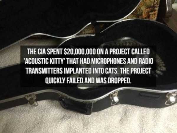 spy facts 7 600x450 15 Interesting Facts About Spies (15 photos)