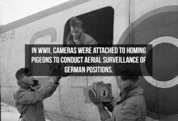 spy facts 9 600x408 15 Interesting Facts About Spies (15 photos)