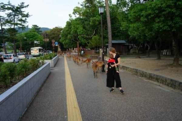 crazy things 11 600x399 Crazy Things You Dont See Every Day (52 photos)