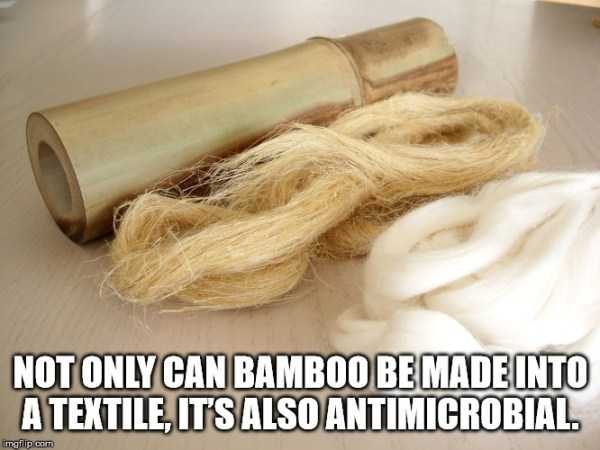 It’s Time For Some Cool And Interesting Facts – Part 125 (47 photos)