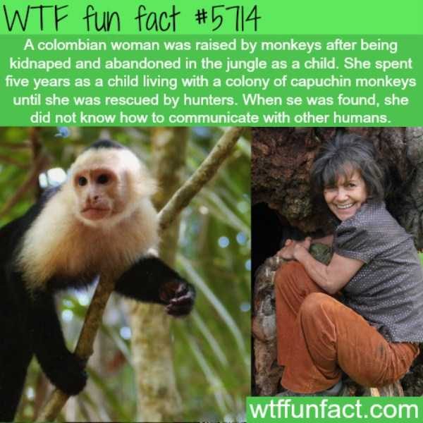 fun trivia 2 1 600x600 It’s Time For Some Cool And Interesting Facts – Part 124 (54 photos)