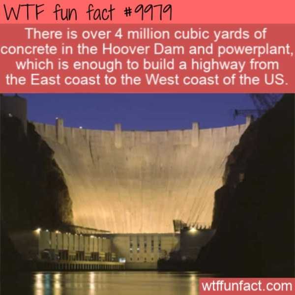 fun trivia 5 1 600x600 It’s Time For Some Cool And Interesting Facts – Part 124 (54 photos)