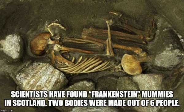 fun trivia 53 600x365 It’s Time For Some Cool And Interesting Facts – Part 124 (54 photos)