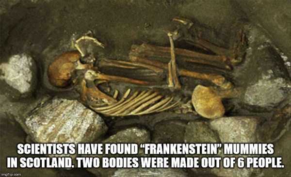 It’s Time For Some Cool And Interesting Facts – Part 124 (54 photos)