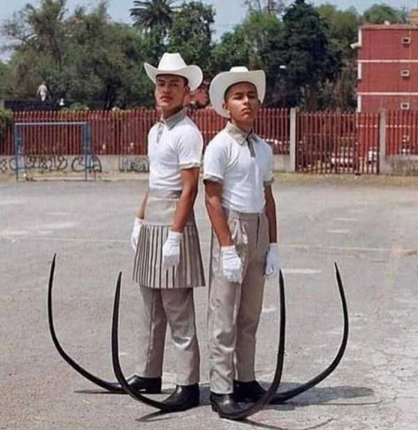 klyker funny picdump 2 20 600x618 klyker funny picdump 2 20 600x618