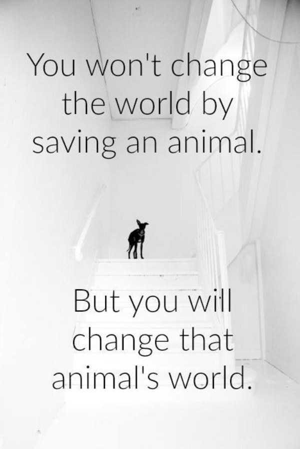 How About Some Motivation? (46 photos)