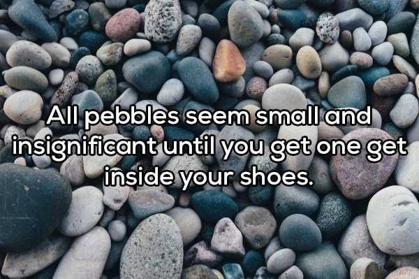 47 More Deep Shower Thoughts (47 photos)