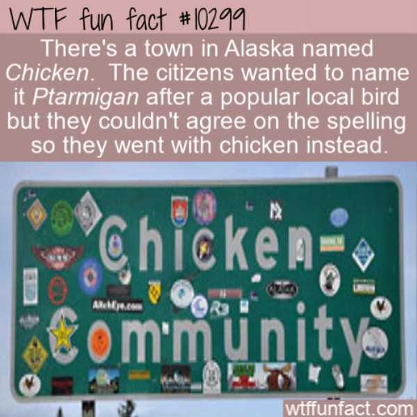 fun facts 2 600x600 It’s Time For Some Cool And Interesting Facts – Part 136 (43 photos)