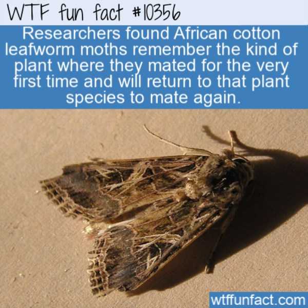 It’s Time For Some Cool And Interesting Facts – Part 140 (47 photos)
