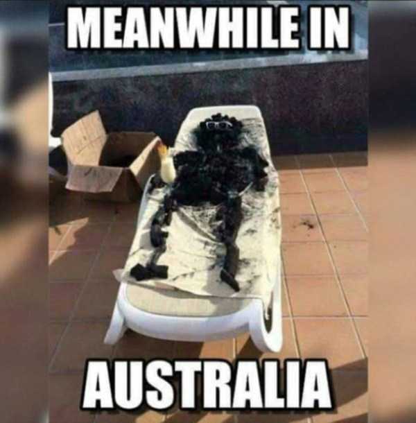 Meanwhile In Australia (34 photos)